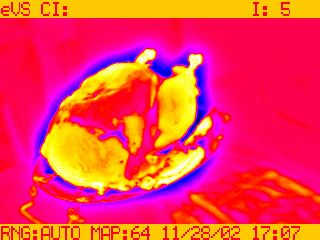 Holiday Meals, the Food Coma and Climate Change Image